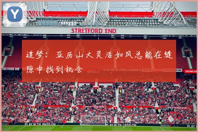追梦：亚历山大灵活如风总能在缝隙中找到机会